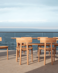 Picha Dining Chair