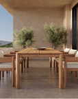 Tocha Dining Chair