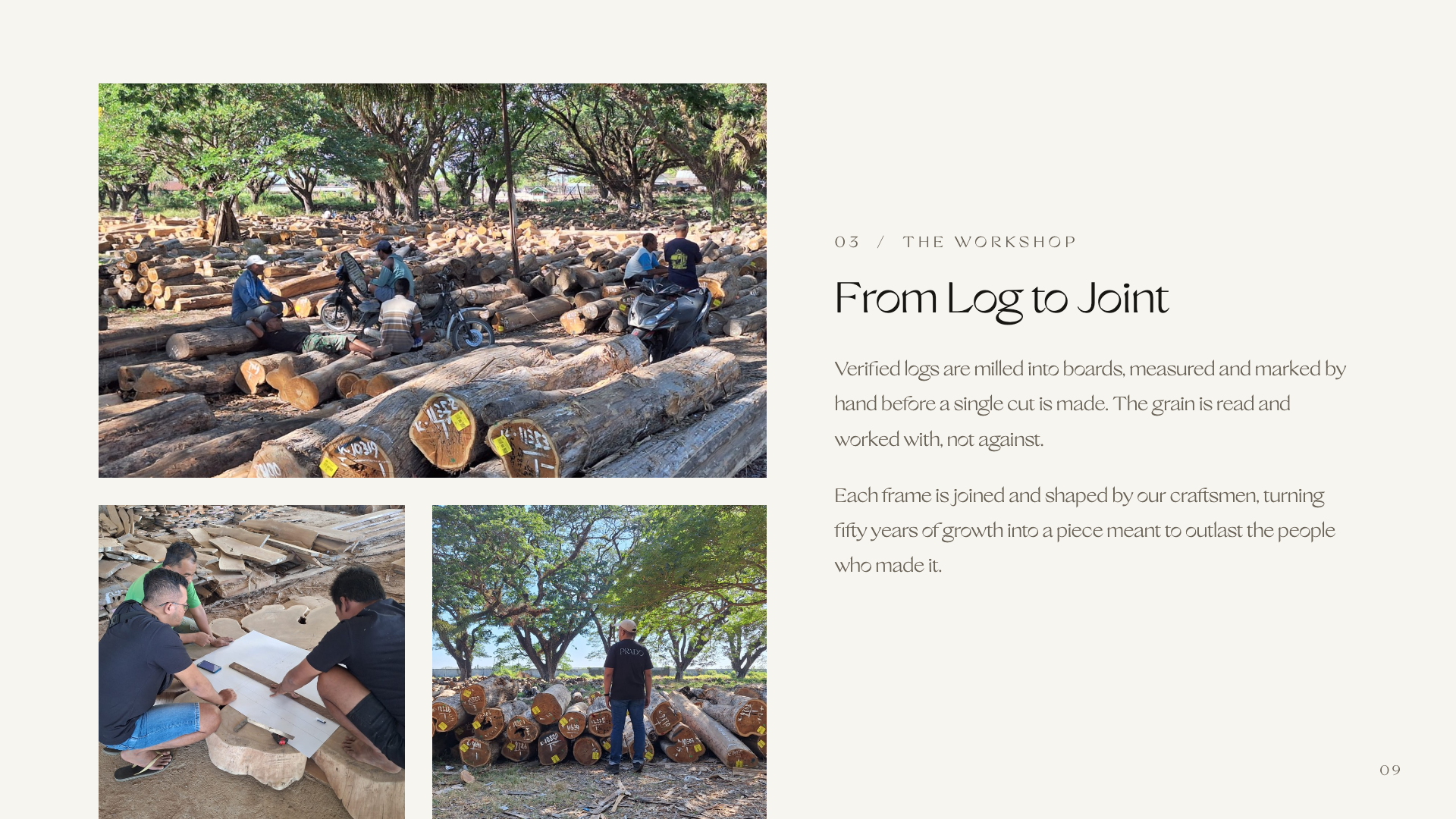Slideshow Image 10