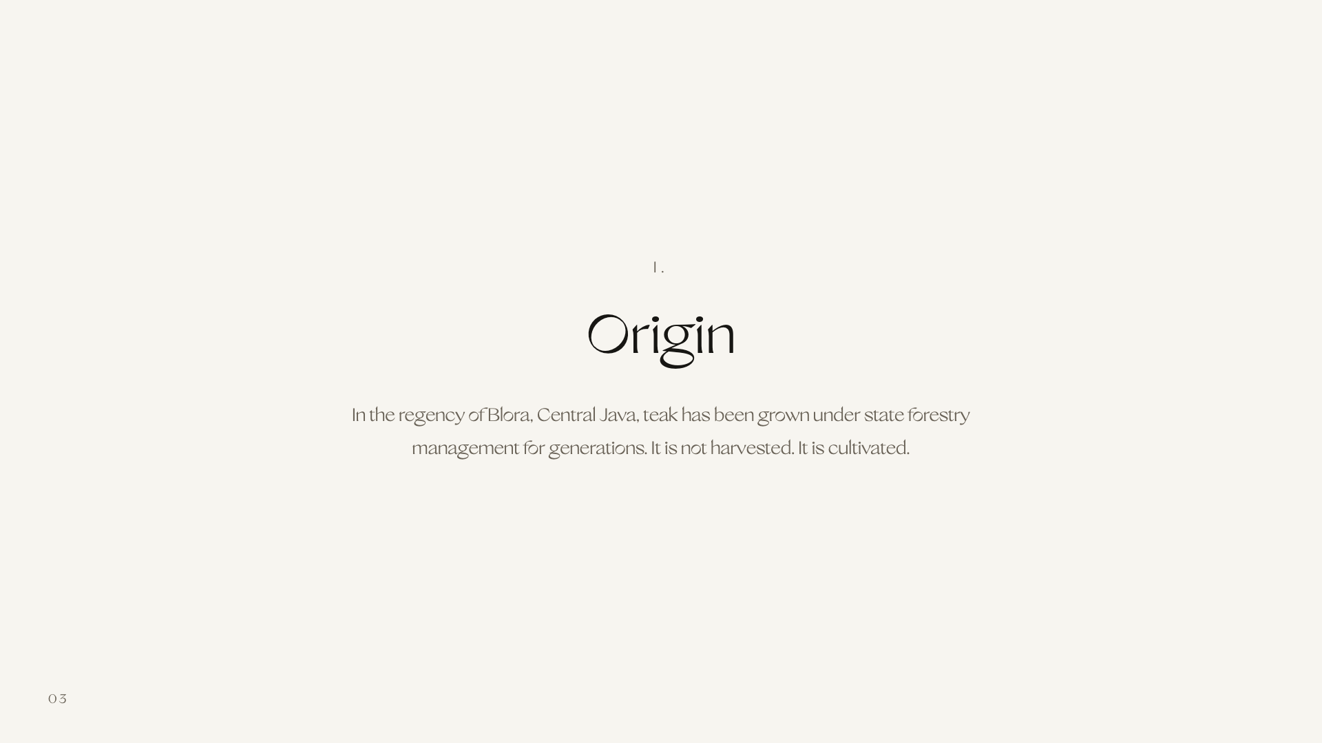 Slideshow Image 3